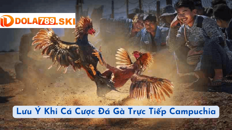 Lưu Ý Khi Cá Cược Đá Gà Trực Tiếp Campuchia